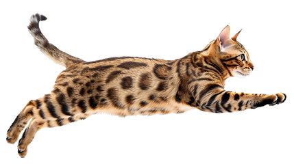 A playful Bengal cat prancing in mid-journey, isolated on transparent background, png file