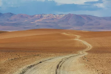 Selbstklebende Fototapeten Altiplano © Galyna Andrushko