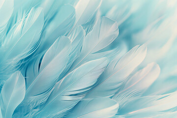 Beautiful pastel light blue and white colored feathers form the background, with a close up view of the soft feather texture pattern wallpaper design concept