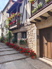 Street with flowers