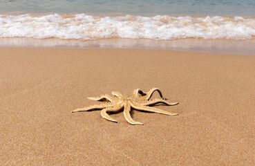 A starfish washed up on a sandy beach by a sea wave, close-up