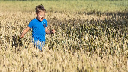A cheerful boy walks through a golden field of rye, half drowned in it