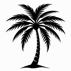 Obraz premium Palm tree silhouette