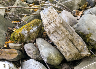 Full screen of various rocks and moss on the forest floor