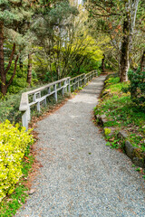 South_Seattle_Garden_Path 2