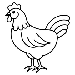 hen and rooster vector