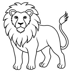 lion illustration