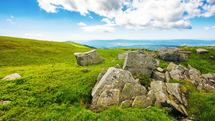 stones and boulders on the grassy alpine hillside. mountainous carpathian landscape of ukraine in...
