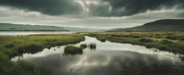 Foto op Plexiglas Wetlands Whispers of Wales: Enchanting Biodiversity in Rain Season © Gohgah