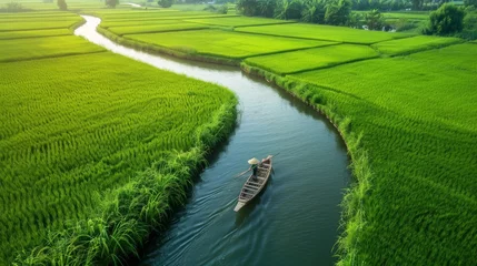 Foto op Plexiglas A farmer guiding a wooden boat through a network of waterways crisscrossing verdant rice fields. © Plaifah