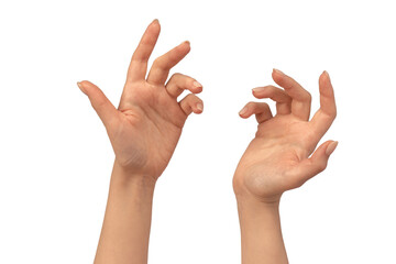 Woman hands  isolated on a white background. Nude nail polish.