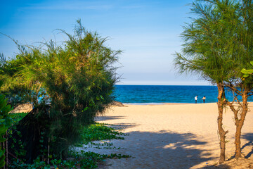 View of Bai Xep beach in Phu Yen province, Vietnam. Tropical coast from cliff above. Vietnam travel destination, golden sand beach waving sea rock boulders.