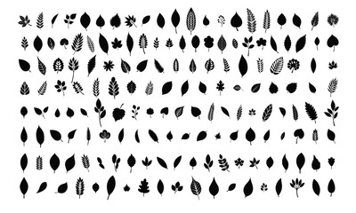 Large collection of leaves silhouette. Hand drawn vector art.