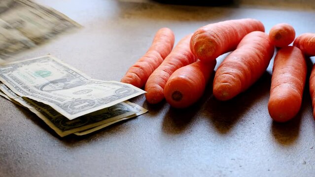 fresh carrots and american dollars on brown background in close-up