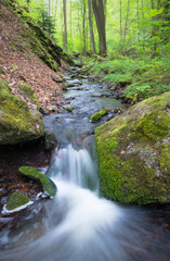 A small waterfall and mossy rocks in a wood