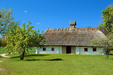Ukrainian traditional house of National Museum of Folk Architecture and Folkways of Ukraine