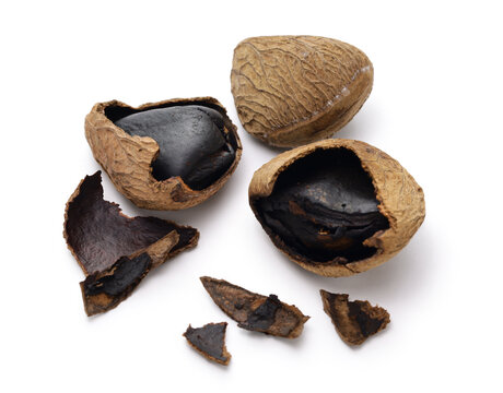 keluak ( pangium seed), used as spice in Indonesian cooking, edible by fermentation.