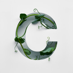 The capital letter C is decorated with a young green pea sprout on a white background.