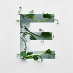 The capital letter E is decorated with a young green pea sprout on a white background.
