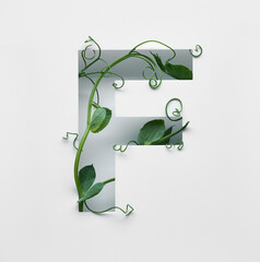 The capital letter F is decorated with a young green pea sprout on a white background.