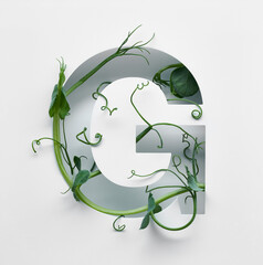 The capital letter G is decorated with a young green pea sprout on a white background.