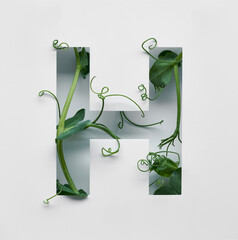 The capital letter H is decorated with a young green pea sprout on a white background.