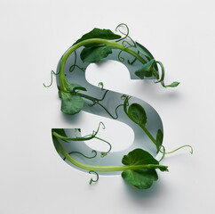 The capital letter S is decorated with a young green pea sprout on a white background.