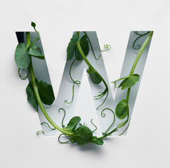 The capital letter W is decorated with a young green pea sprout on a white background.