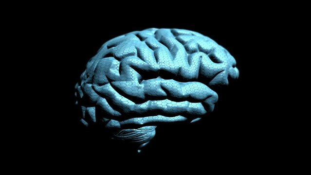 Human brain 3D animated 4k