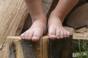 Child feet on wood log, barefoot little girl on tree trunk, countryside lifestyle, concept of grounding and connecting with nature	