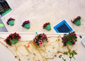 Flowers in the historic center of Castro Puglia Italy