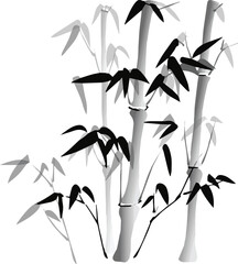 Hand drawn ink sketch of bamboo leaves and branches vector illustration, Bamboo Seamless Vertical Border on white background stock illustration.