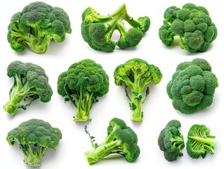 Set of fresh green broccoli, vibrant and healthy