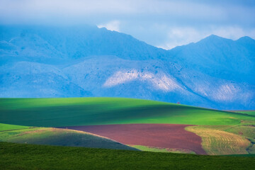 Beautiful spring colorful agricultural fields at the foot of high mountains
