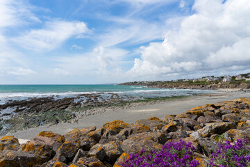 Sur le littoral atlantique de la baie d'Audierne, ciel bleu, nuages blancs, fleurs violettes sur...