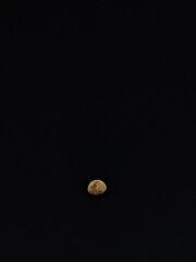 moon in the dark
