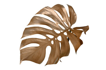 Tropical golden leaves on transparent background.(Monstera,palm,coconut) PNG