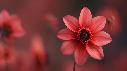Flower on background, a picture of gorgeous blossom. Bright and vibrant, it's a wonderful natural decoration.