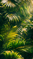 green natural mobile phone wallpaper with palm and tropical leaves, jungle theme (6)