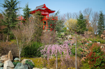 Column temple in a Japanese garden. A public landscaped park with green grass on the hills, flowering trees and a stone path for walking.