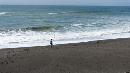 girl walking on the beach with dog