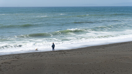 girl walking on the beach with dog