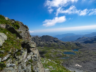 Wild mountain goat (alpine chamois) in Grana Valley near mountain summit Monte Viso (Monviso) and...