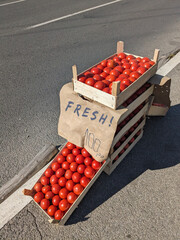Crates of fresh tomatoes by the roadside - 790995864