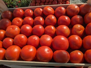 Box filled with red tomatoes