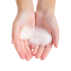 A child holds a white feather on his palms on a white background