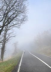 road in fog