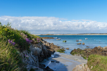 Sur les falaises de Pors Carn, Finistère sud, Bretagne, des fleurs jaunes et violettes fleurissent, 
des petites barques reposent sur les eaux calmes - obrazy, fototapety, plakaty