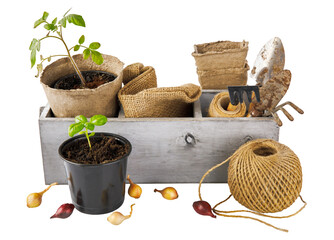 Gardening and flowering tools for organic farming and natural food growing. isolated PNG