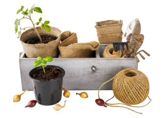 Gardening and flowering tools for organic farming and natural food growing. isolated PNG